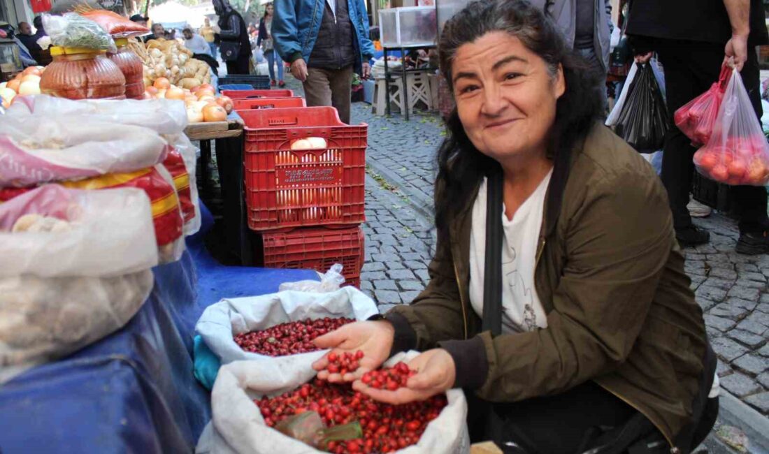 AYDIN’IN DAĞLARINDAN BİN BİR