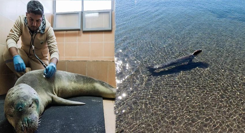 İzmir Büyükşehir Belediyesi, Güzelbahçe