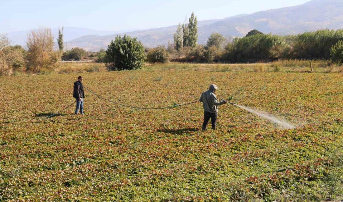 SON YILLARIN EN KURAK