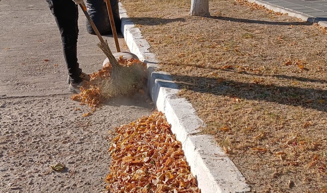 AYDIN'IN GERMENCİK İLÇESİNDE SAHAYA