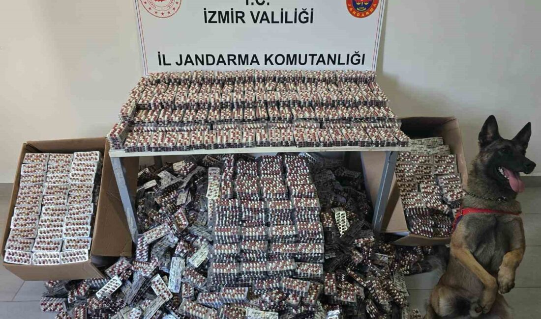 İZMİR'İN KEMALPAŞA İLÇESİNDE JANDARMA