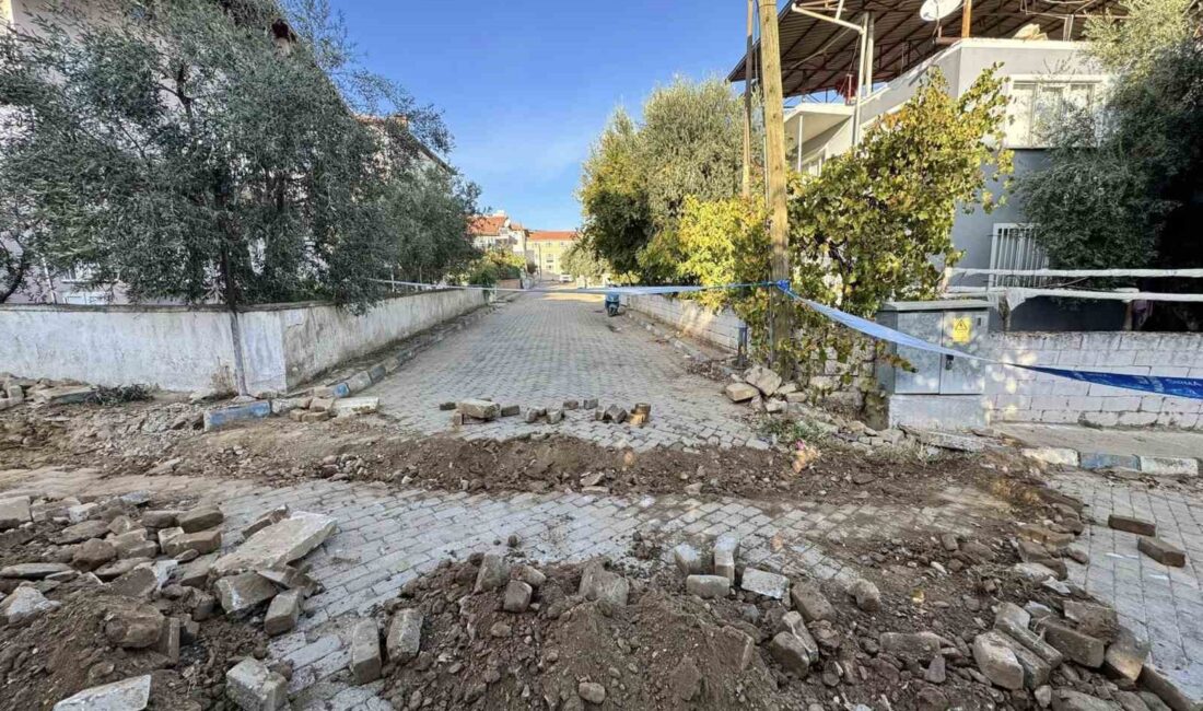 KARACASU’DA YOLLAR BAKIMA ALINDI