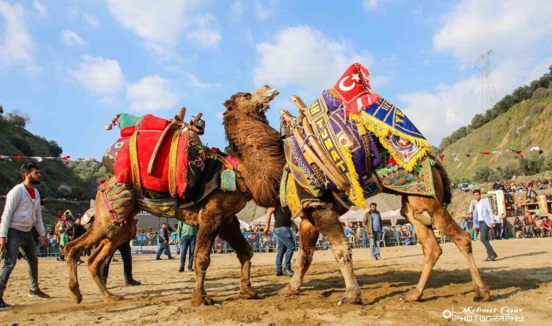 AYDIN'IN KUYUCAK İLÇESİNE BAĞLI