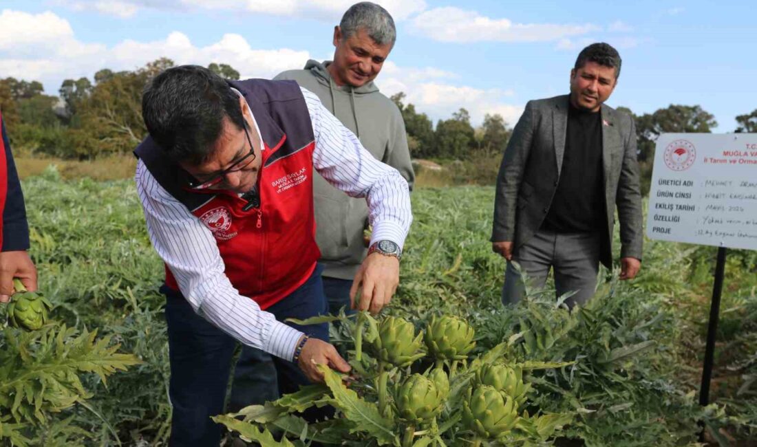 MUĞLA’DA HEDEF 12 AY