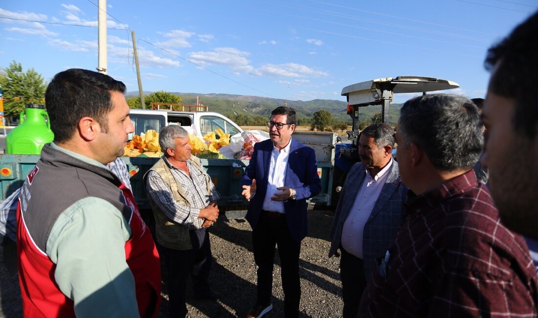 MUĞLA'DA TARIMDA YENİ DESTEKLEME