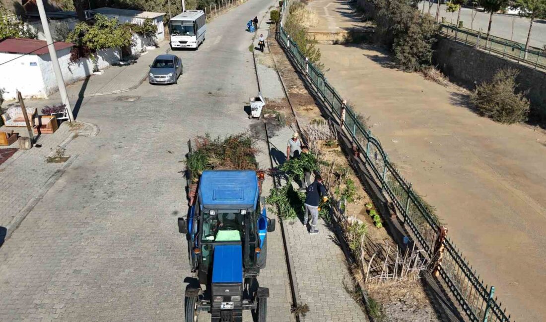 NAZİLLİ BELEDİYESİ PARK VE