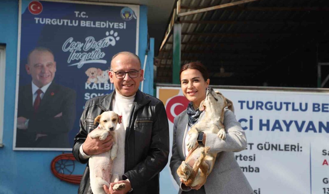 Turgutlu’da online hayvan sahiplendirme sistemi hizmete sunuldu