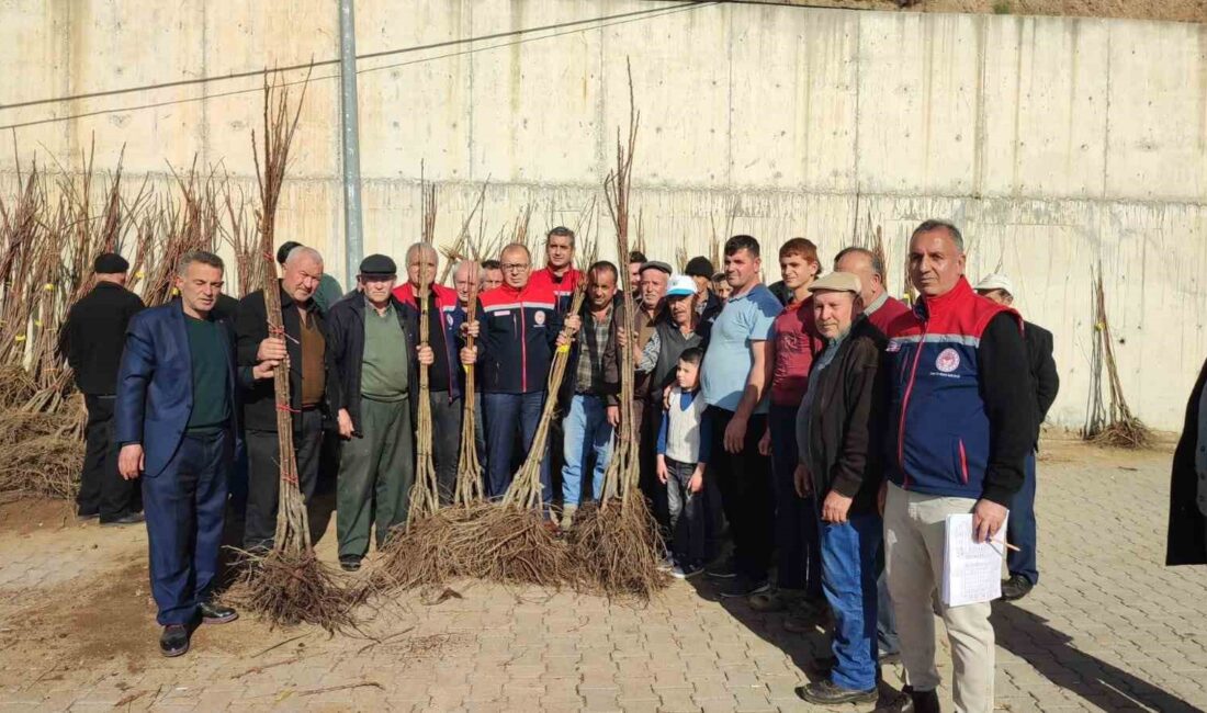 AYDIN'DA TARIMSAL ÜRETİMİN ARTIRILMASI