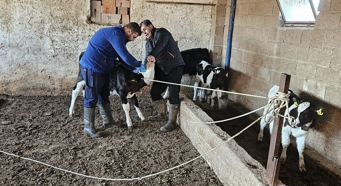 AFYONKARAHİSAR’IN DAZKIRI İLÇESİNDE BÜYÜK