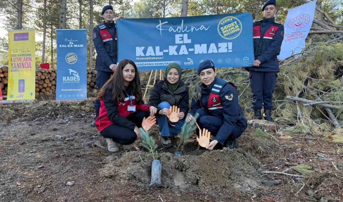 ÇİNE’DE FİDANLAR KADINA ŞİDDETE