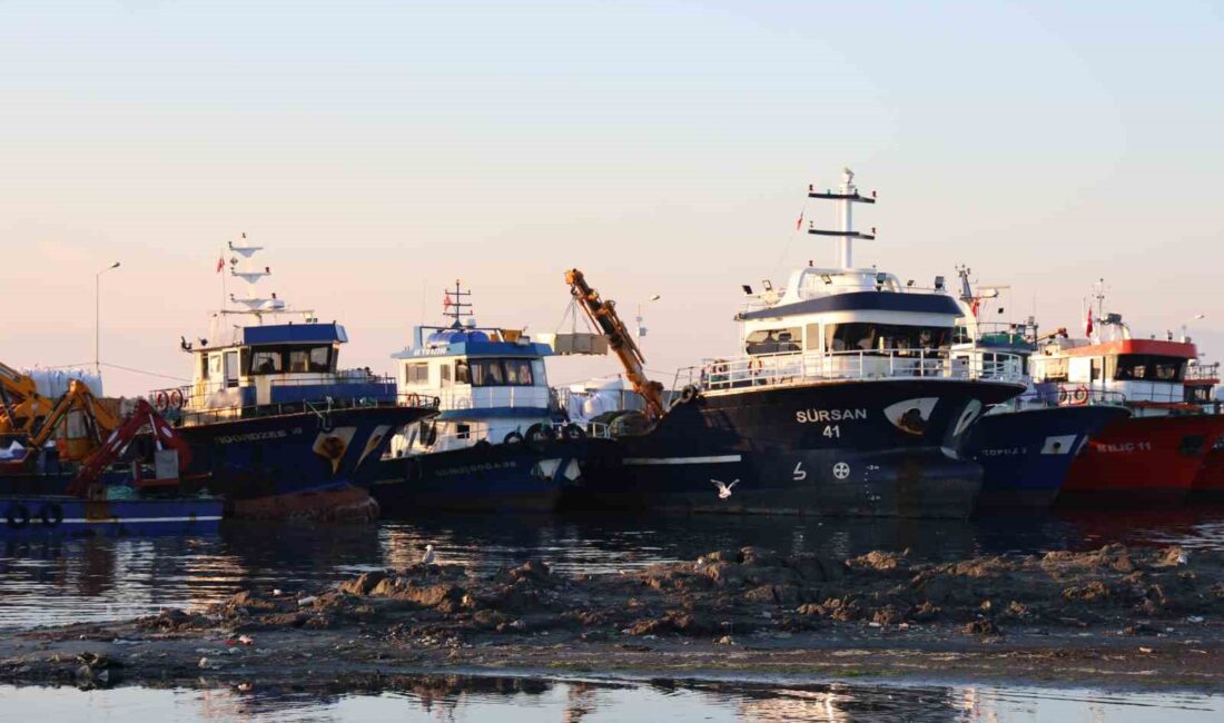 DİDİM TAŞBURUN BALIKÇI BARINAĞI’NIN