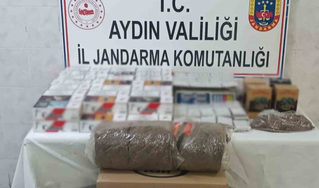 AYDIN'IN DİDİM İLÇESİNDE JANDARMA