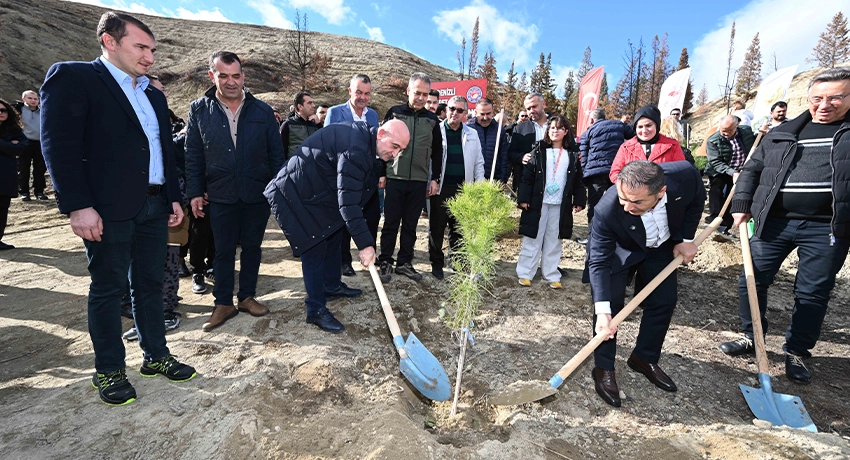 Daha önce toplu halde