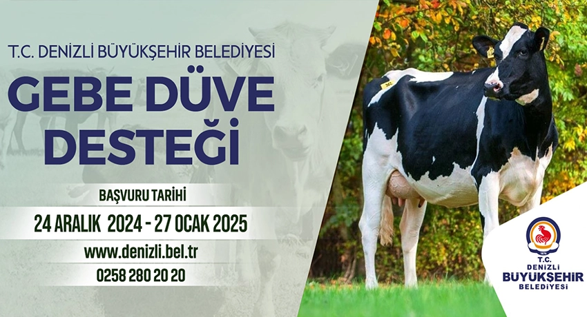 Denizli Büyükşehir ile köye dönüş hayal değil