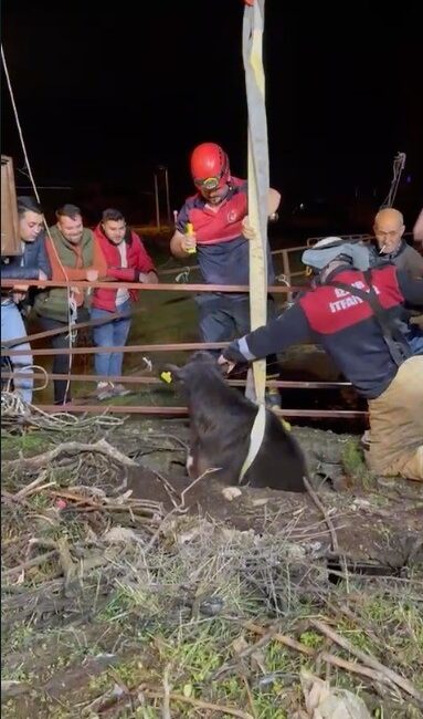 İZMİR BÜYÜKŞEHİR BELEDİYESİNE BAĞLI