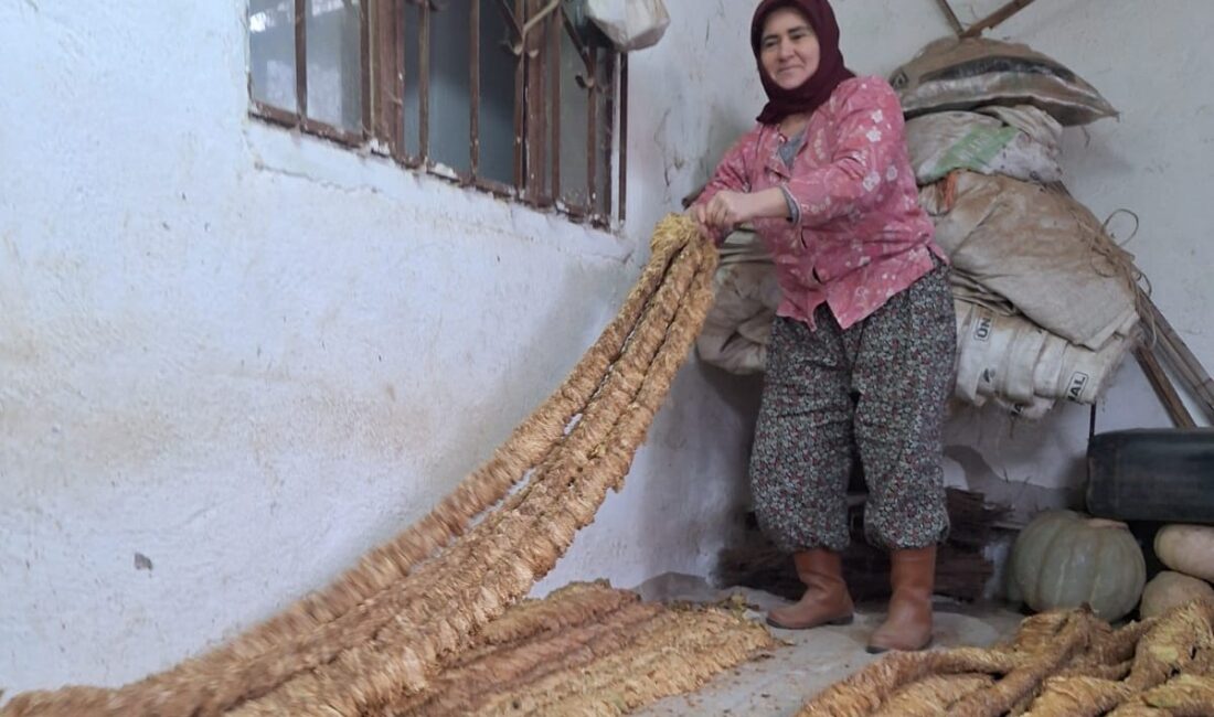 MANİSA’NIN SARIGÖL İLÇESİNE BAĞLI