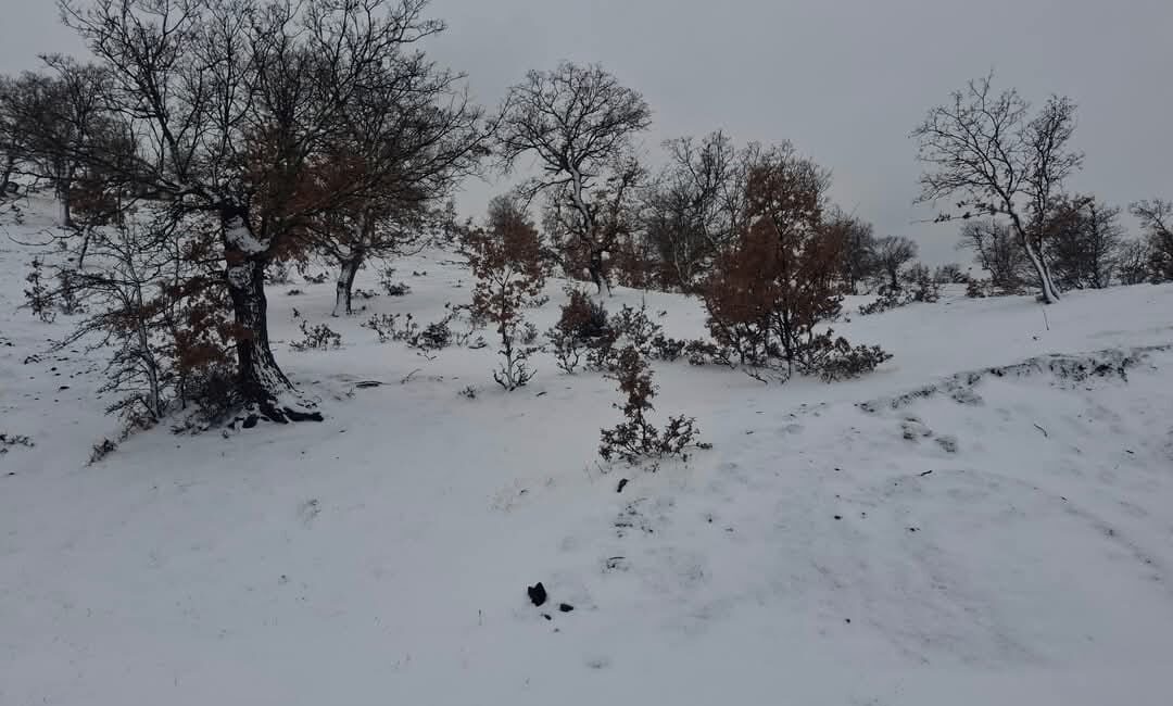 SELENDİ’DE YAĞAN KAR VATANDAŞLARIN