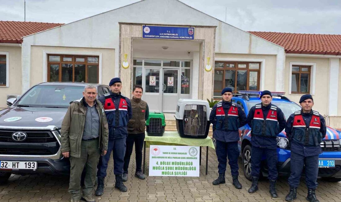 ULA'DA YASA DIŞI YABAN