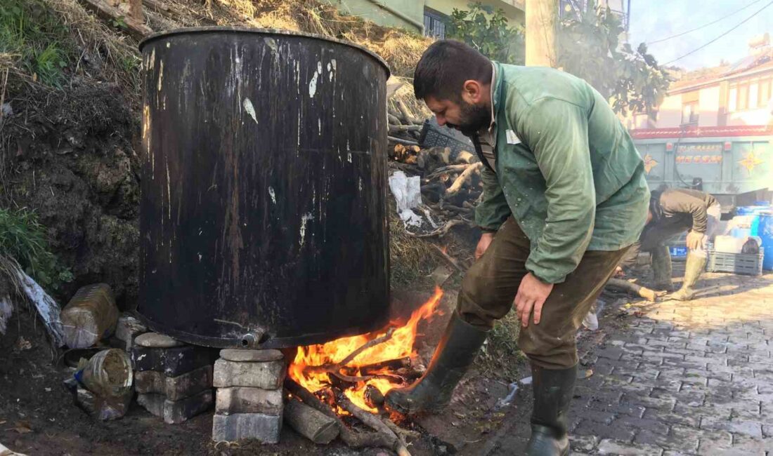 GIDA SEKTÖRÜNDE KULLANILAN ZEYTİNYAĞI