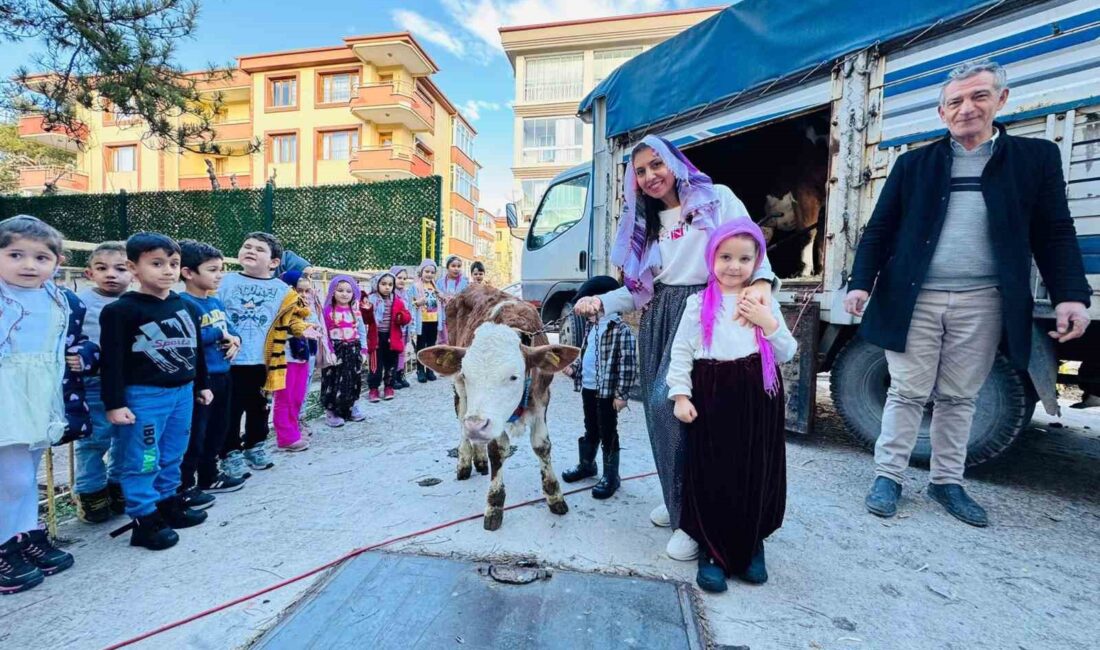 AFYONKARAHİSAR KOCATEPE İLKOKULU’NDA YERLİ