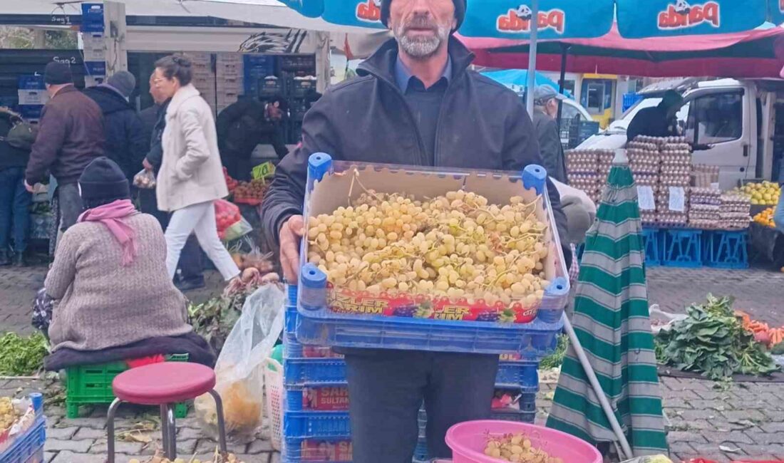 MANİSA’NIN SARIGÖL İLÇESİNDEN DALINDAN