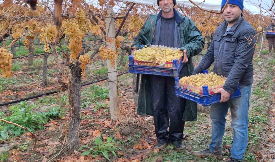 YILBAŞI SOFRALARINI SÜSLEYECEK OLAN