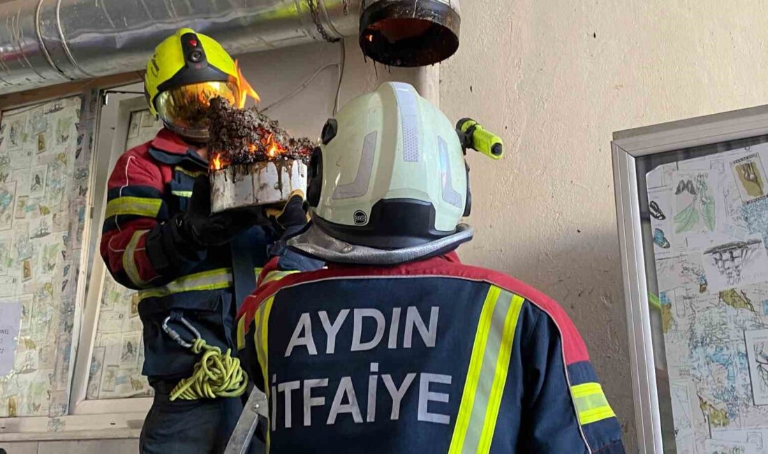 AYDIN'IN EFELER İLÇESİNDE BİR