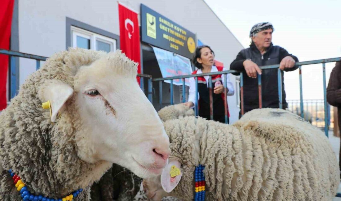 KÜÇÜKBAŞ HAYVAN ÜRETİMİNİN ARTIRILMASI