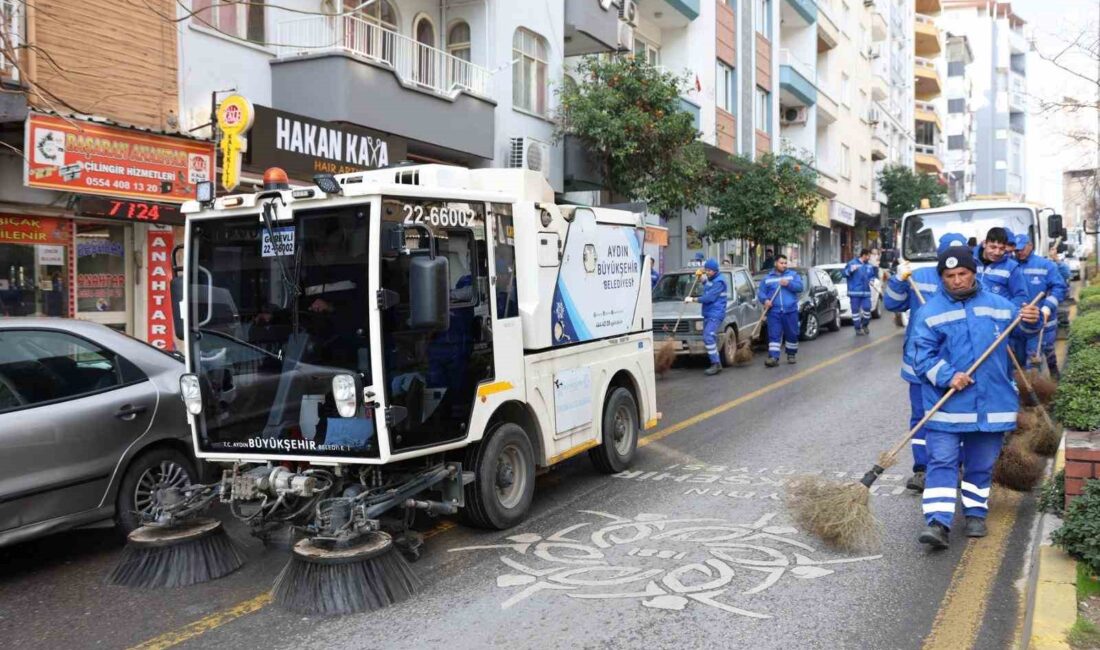 AYDIN’IN EFELER İLÇESİNDE SAHAYA