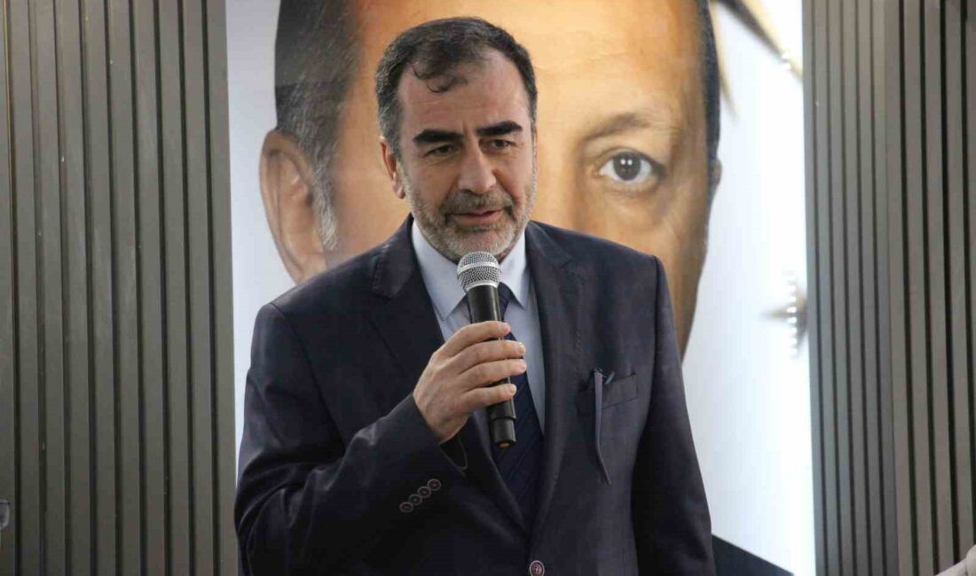 MEHMET ERDEM