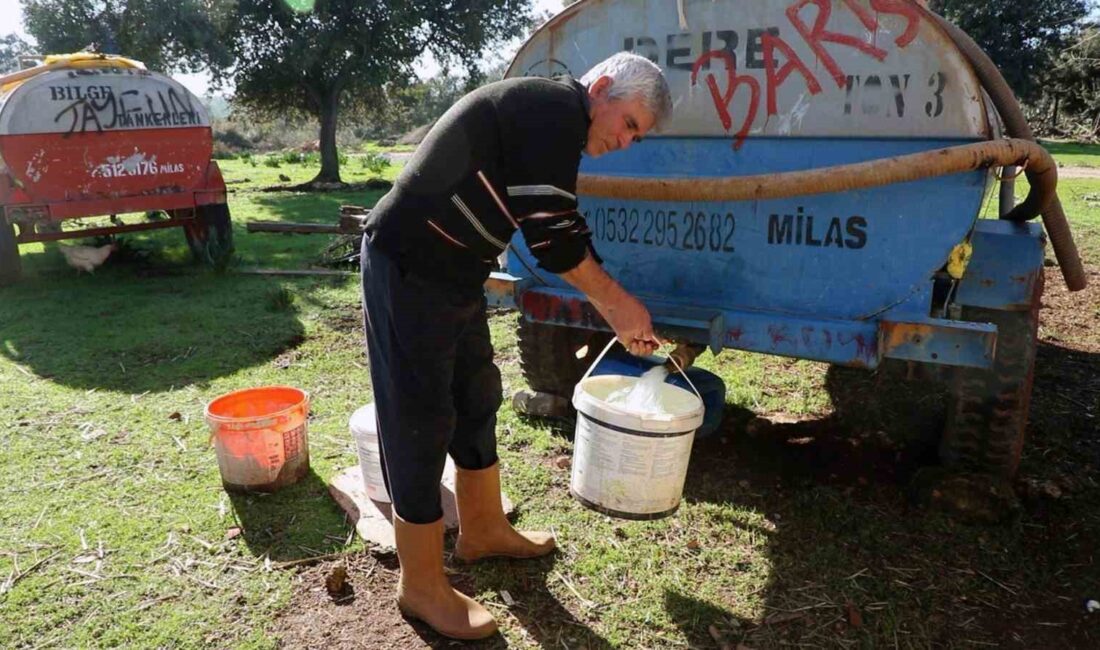 MUĞLA BÜYÜKŞEHİR BELEDİYESİ SU