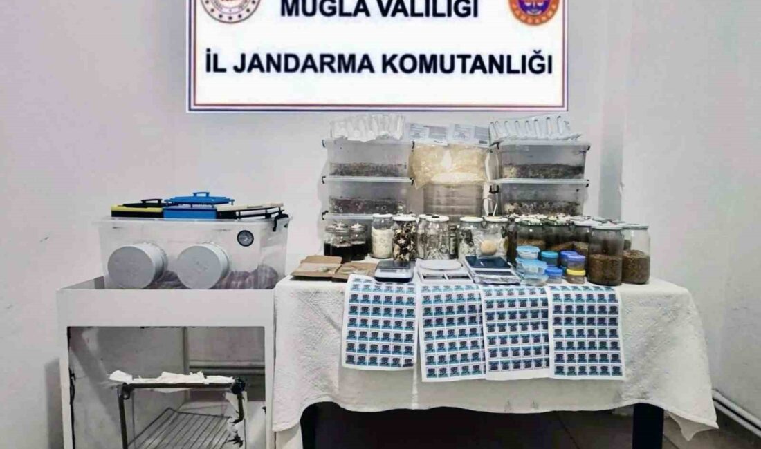 Muğla'nın Köyceğiz ilçesinde dünyanın