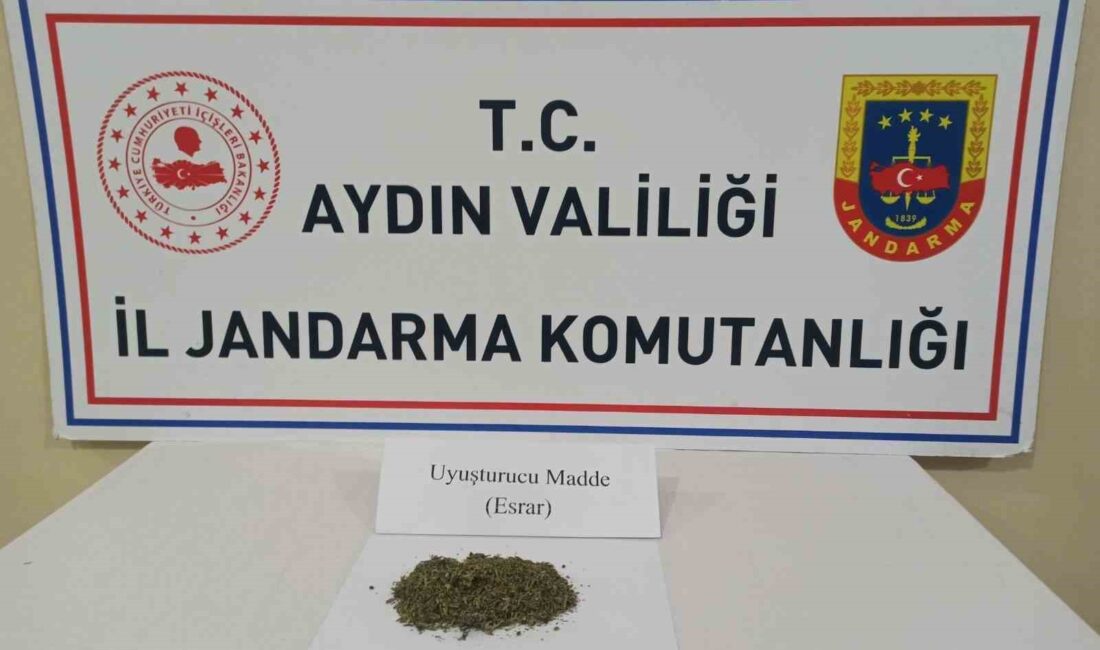 AYDIN'IN EFELER İLÇESİNDE JANDARMA