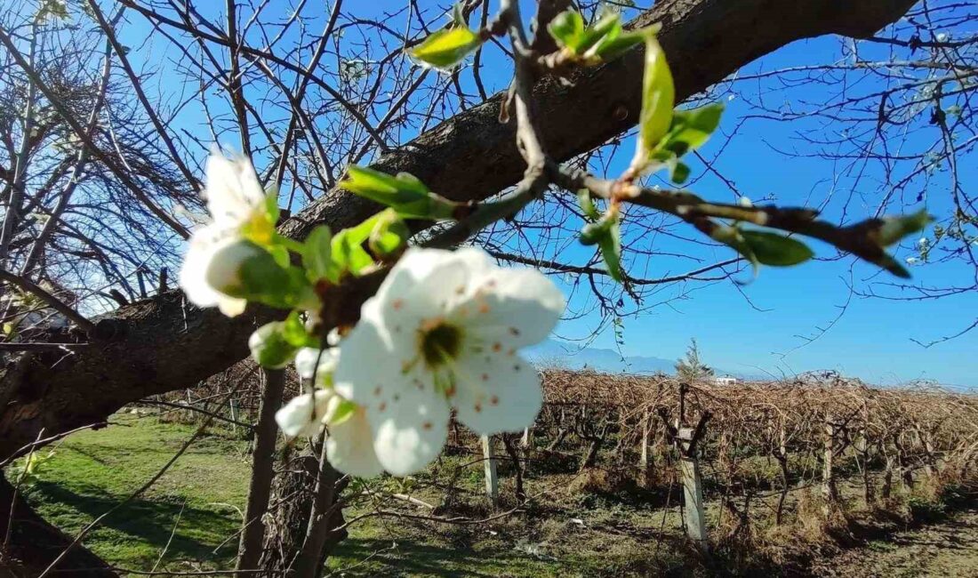 HAVA SICAKLIKLARININ MEVSİM NORMALLERİNİN