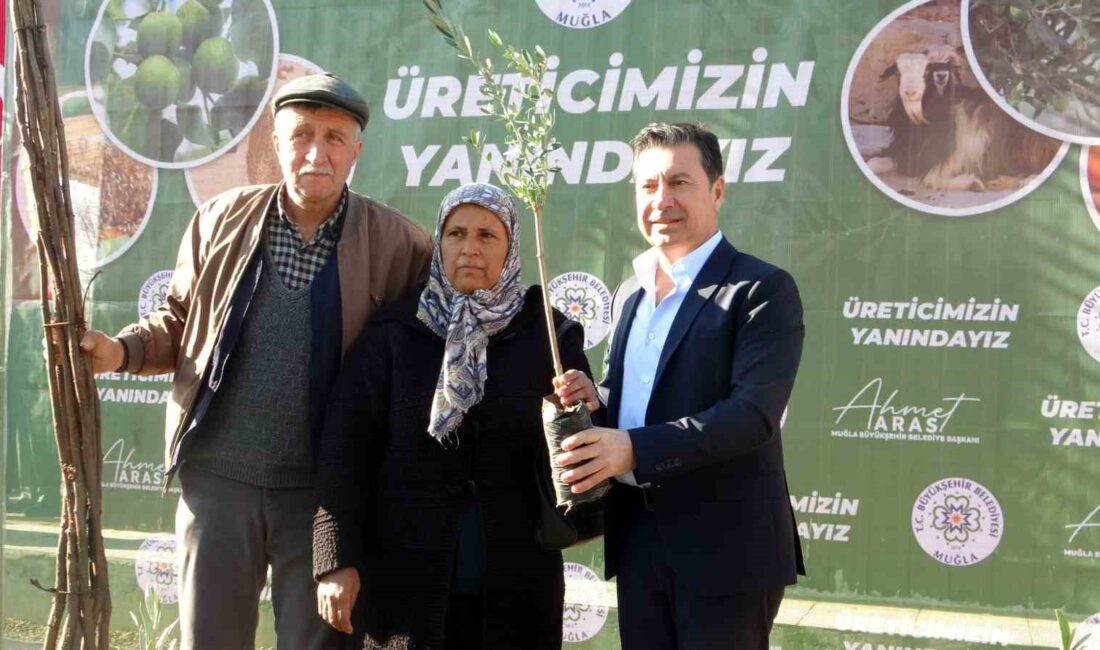 MUĞLA BÜYÜKŞEHİR BELEDİYESİ 110