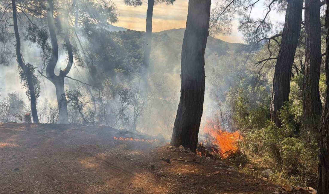 Muğla’nın Fethiye ilçesinde çıkış