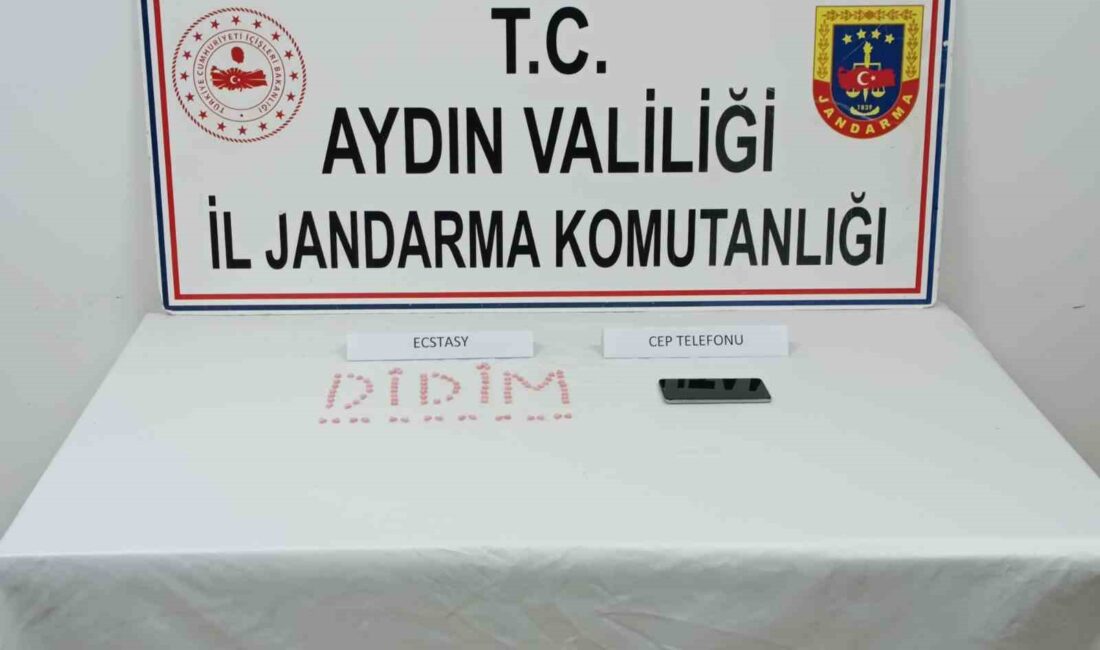 AYDIN'IN DİDİM İLÇESİNDE JANDARMA