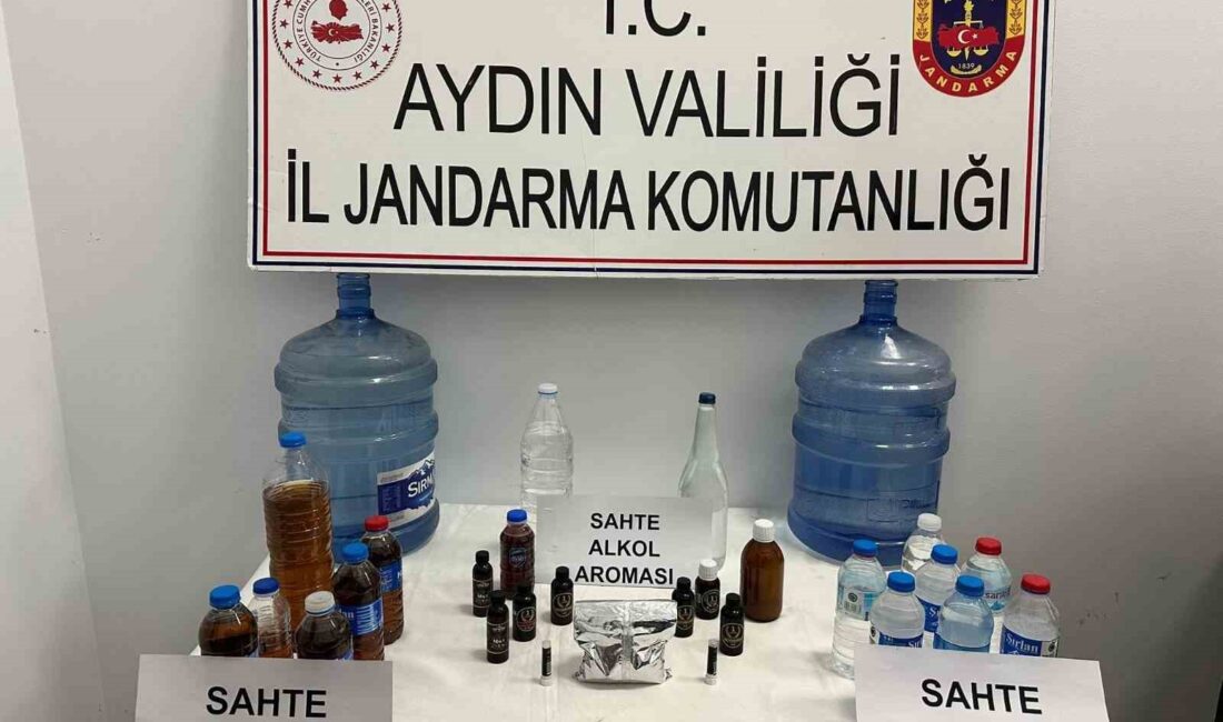 AYDIN’IN İNCİRLİOVA İLÇESİNDE SAHTE