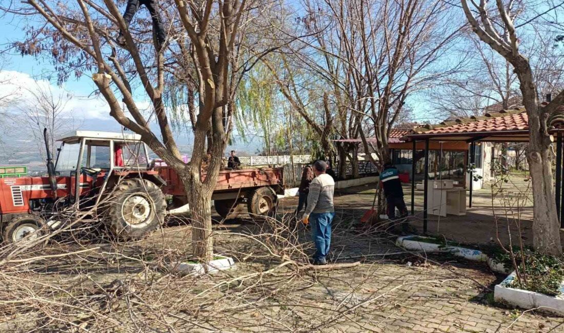 AYDIN'IN KARACASU İLÇESİNDE VATANDAŞLARIN