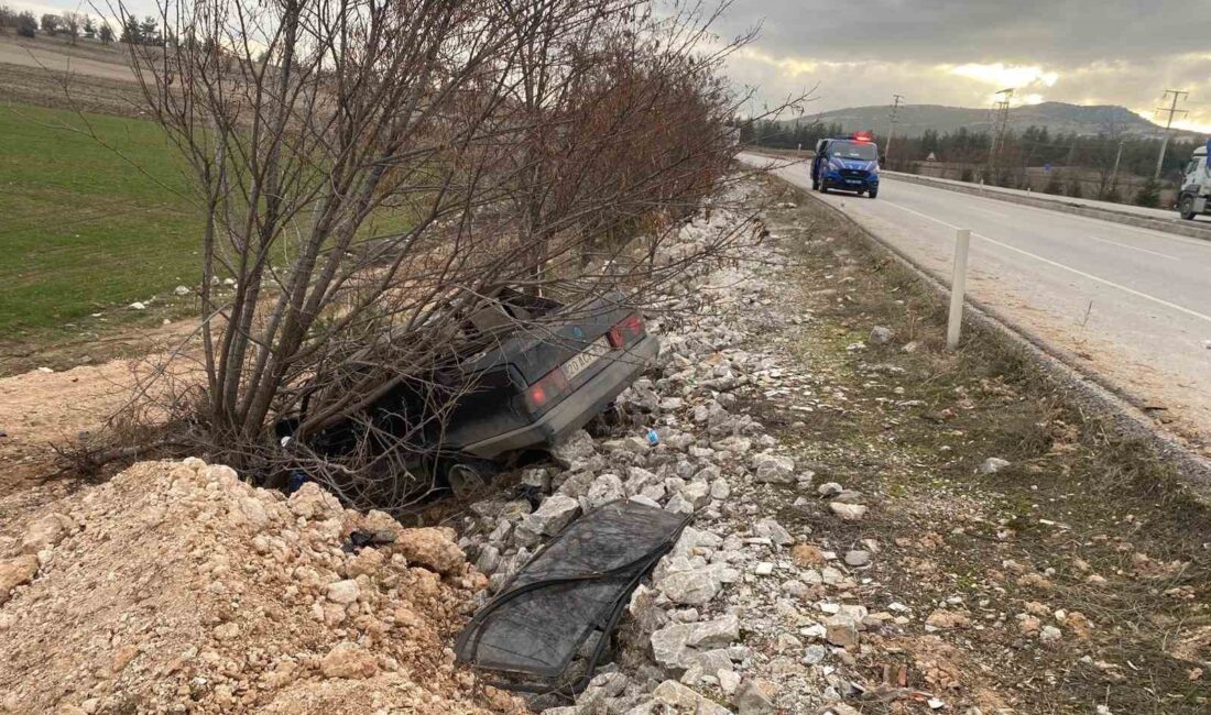 DENİZLİ’NİN ÇAL İLÇESİNDE KONTROLDEN