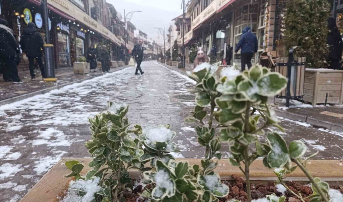 AFYONKARAHİSAR’DA ANİDEN BASTIRAN KAR