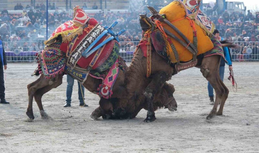 AYDIN'IN SULTANHİSAR İLÇESİNİN ATÇA