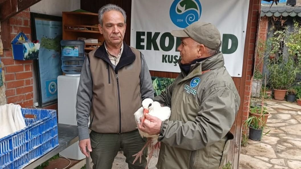 AYDIN’DA SOĞUKTAN ETKİLENEN ‘GARİP’