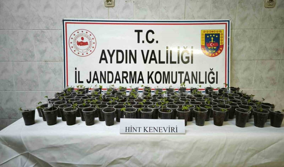 AYDIN'IN DİDİM İLÇESİNDE JANDARMA