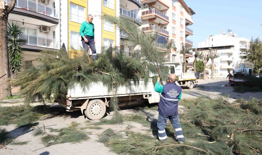 EFELER BELEDİYE BAŞKANI ANIL