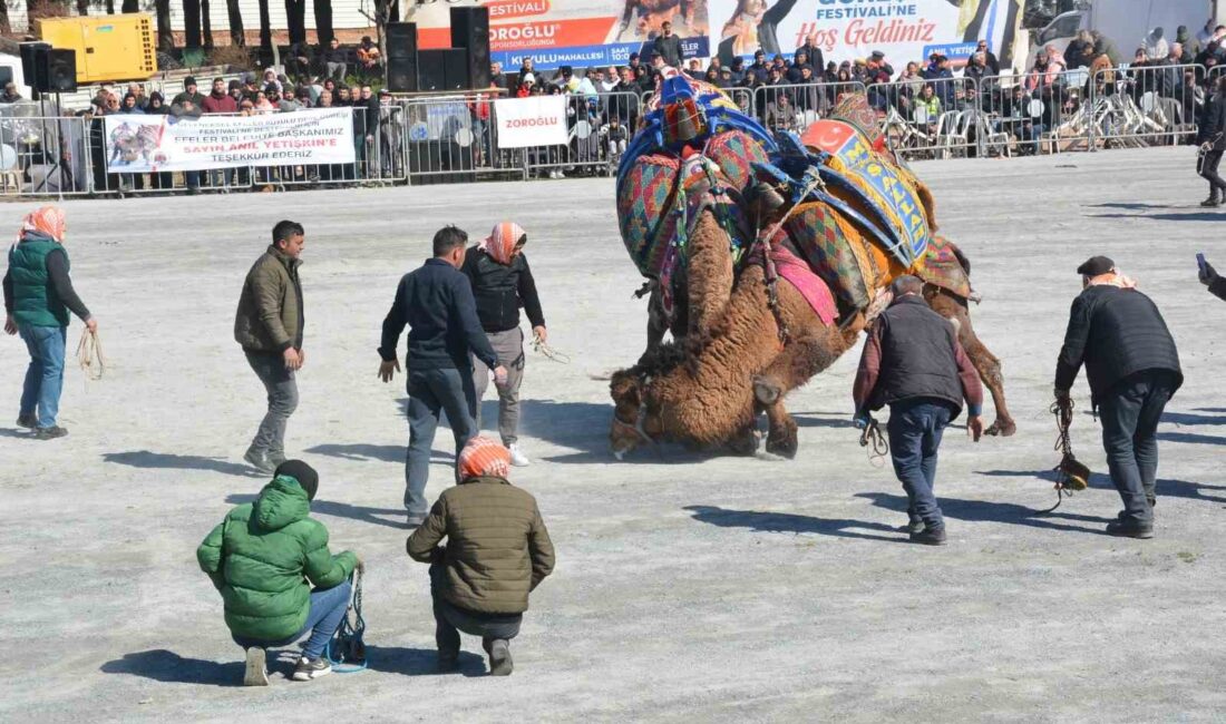 EFELER BELEDİYESİ TARAFINDAN DÜZENLENEN