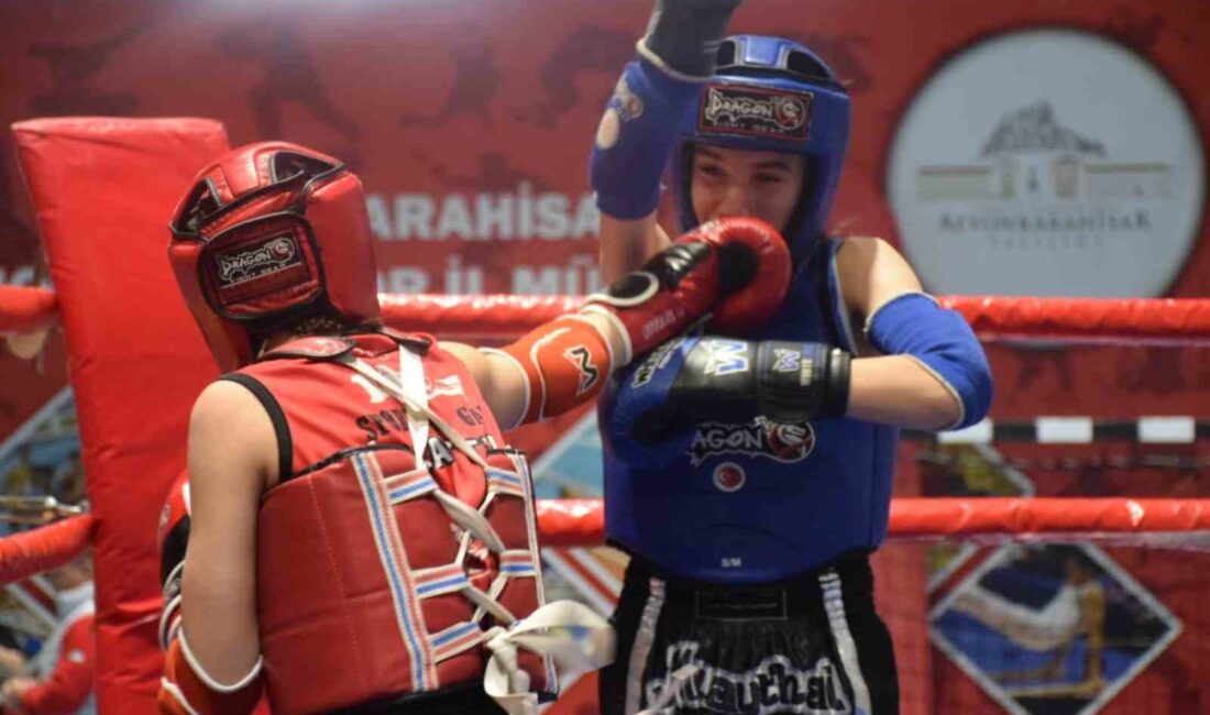 TÜRKİYE MUAYTHAİ FEDERASYONU TARAFINDAN