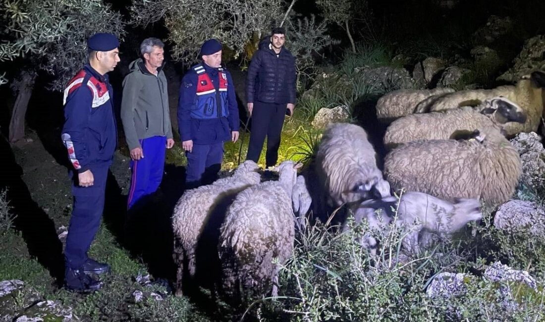 AYDIN'IN GERMENCİK İLÇESİNDE KAYBOLAN