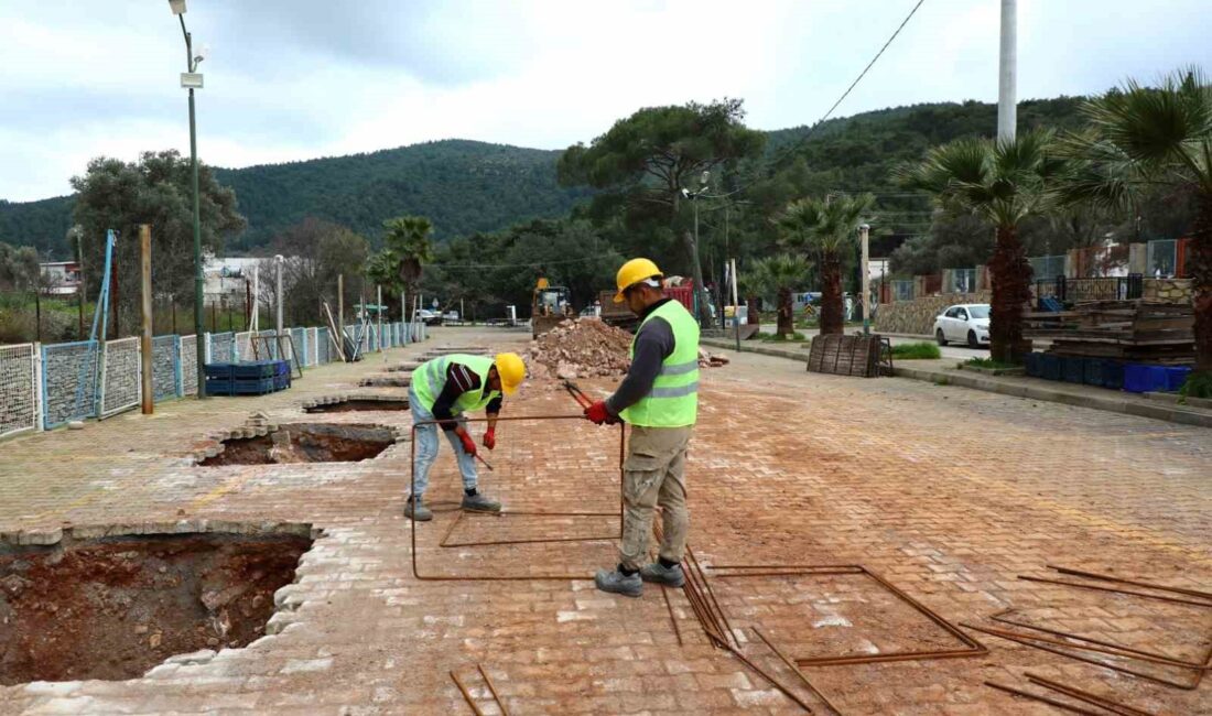 BODRUM BELEDİYESİ TARAFINDAN KIZILAĞAÇ