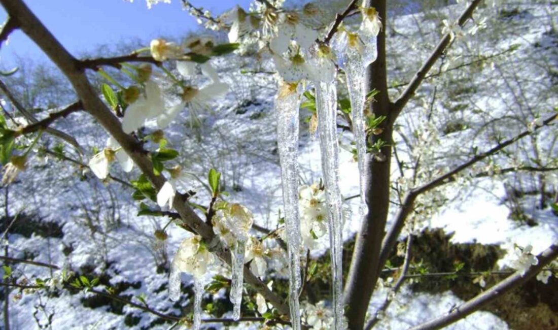 METEOROLOJİ 4. BÖLGE MÜDÜRLÜĞÜ